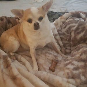 Meet your Posher, Janet