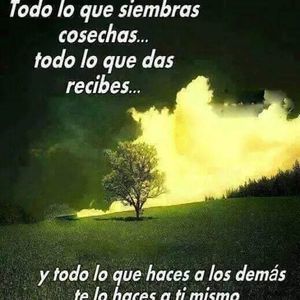 Meet your Posher, Silvia