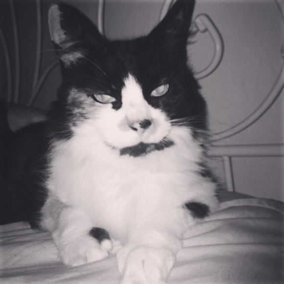 Meet the Posher Other - Meet your Posher, Paige