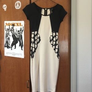 Form Fitting Business Dress