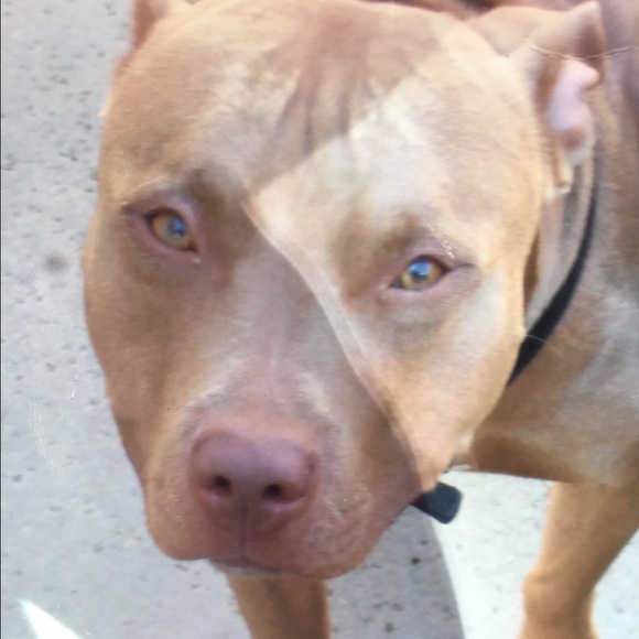 Meet your Posher, Kaley...hi everybody !! - Picture 8 of 8