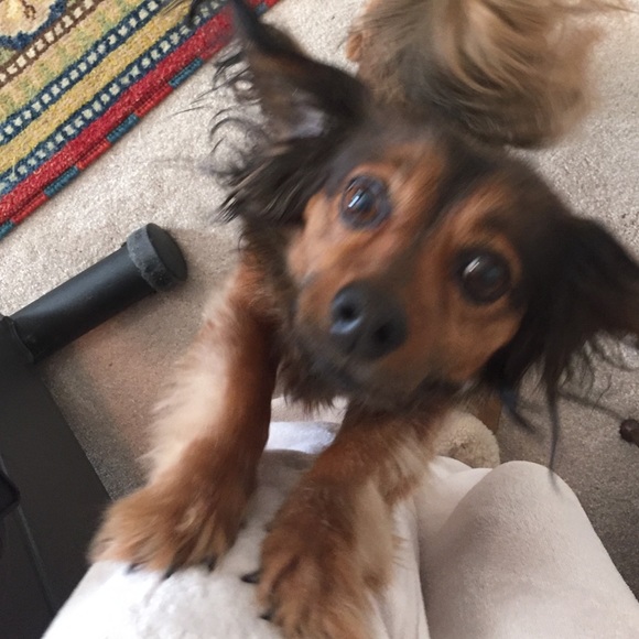 Meet your Posher, Koby