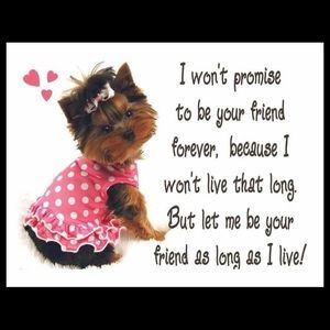 Meet your Posher, Rina