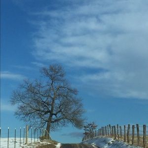 Meet your Posher, Lillian