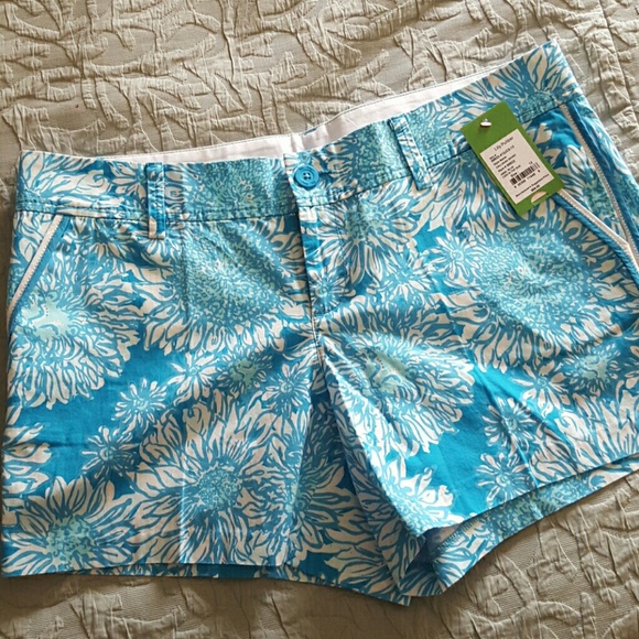 Lion in the Sun Callahans