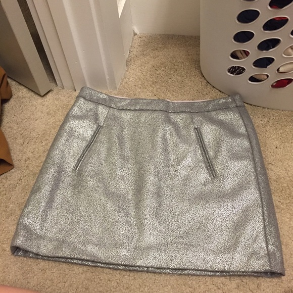 Silver Party Skirt