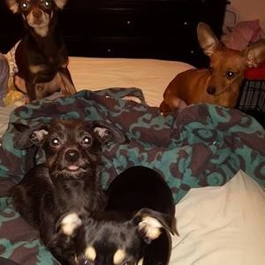 Meet your Posher, Crystal