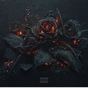 Meet your Posher, Carmella