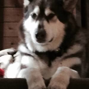 Meet your Posher, Beverly