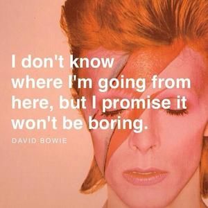 Meet your Posher, Austin