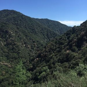 Meet your Posher, Gloria