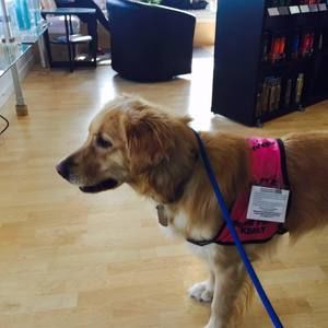 Meet your Posher, Anne