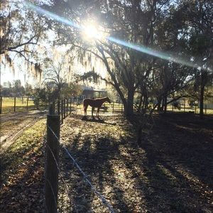 Meet your Posher, Hanna