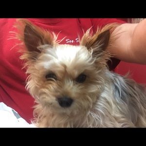 Meet your Posher, Heather