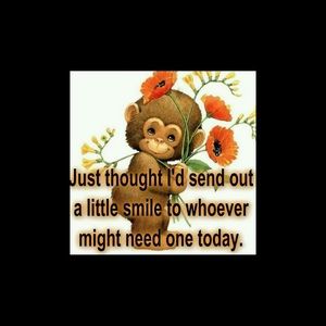 Meet your Posher, Betty