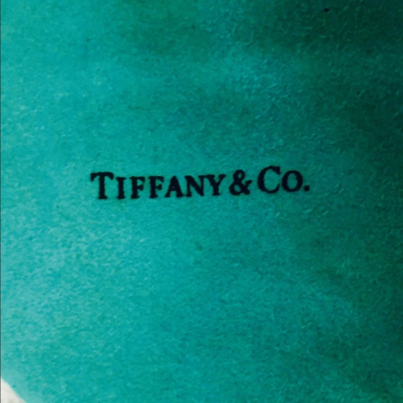 Tiffany and Company suede bracelet bag authentic. - Picture 1 of 3