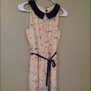 DRESS PETER PAN COLLAR SZ SM