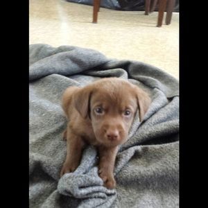 Meet your Posher, Vicki