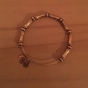 Alex and Ani