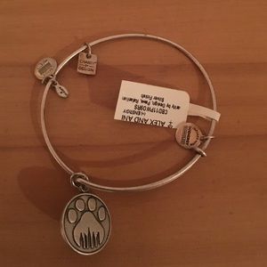 Silver Ani and Alex bracelet