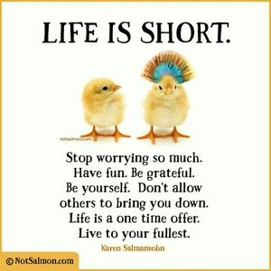 Meet your Posher, Kay