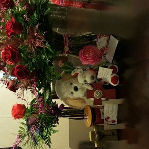 Meet your Posher, Misty