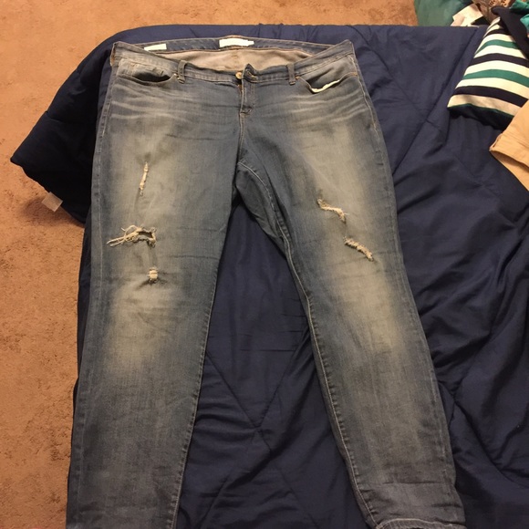 Torrid boot cut jeans