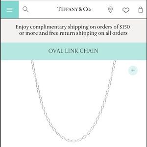 Tiffany & Co. Oval Links Sterling Silver Chain