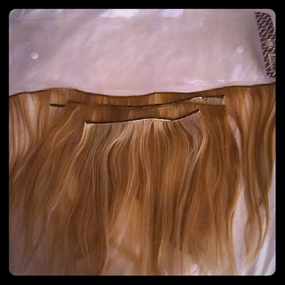 Blonde/brown highlight extention