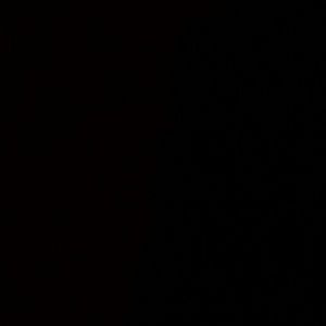 Meet your Posher, Sha