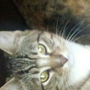 Meet your Posher, Tamara