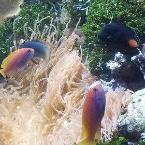 Meet your Posher, Michele