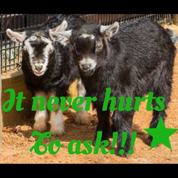 Let's talk about price! - Picture 3 of 3