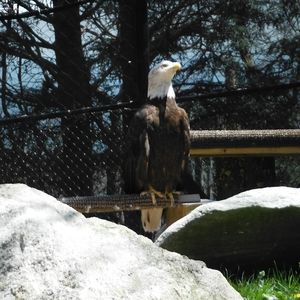 Meet your Posher, Keith