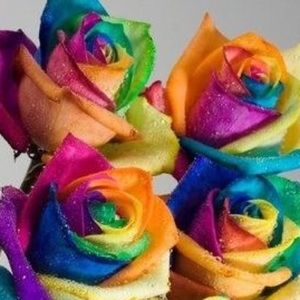 Meet your Posher, Gabriela