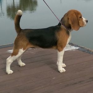 Meet your Posher, Kristin