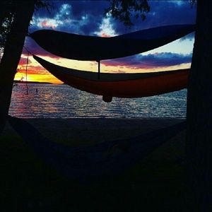 Meet your Posher, Liv