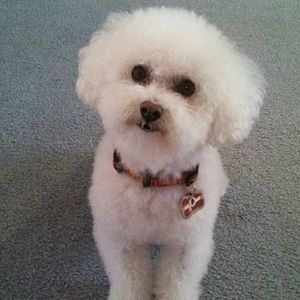 Meet your Posher, Karin