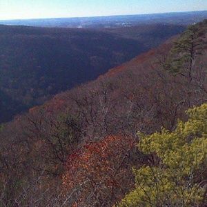 Meet your Posher, Jack