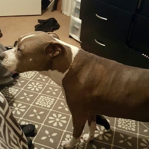 Meet your Posher, Yvette