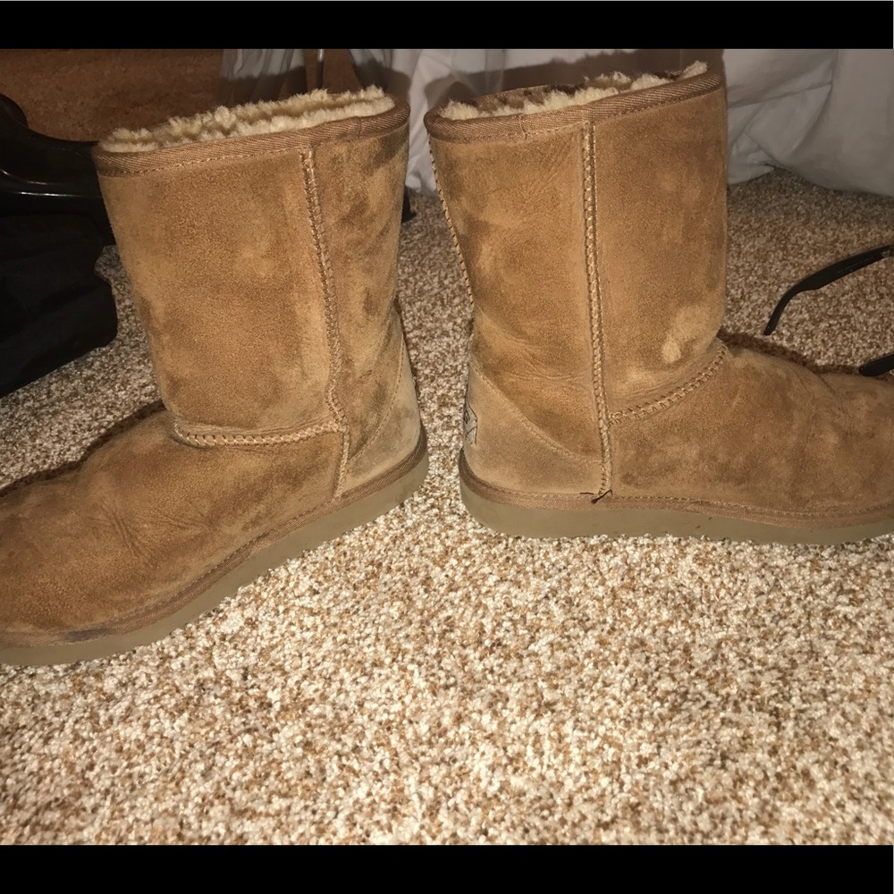 Chestnut brown short Uggs.