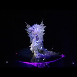 Meet your Posher, Michelle