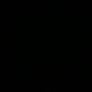 Meet your Posher, Lorena