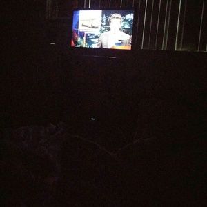 Meet your Posher, Brenda