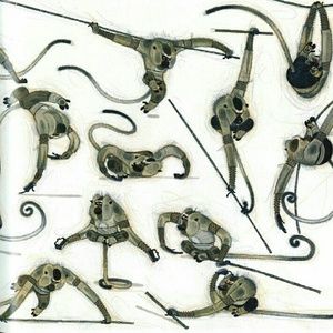 Meet your Posher, Dakota