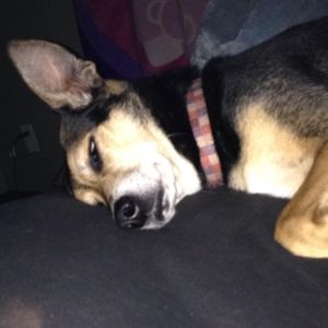 Meet your Posher, Chelsea