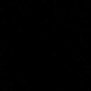 Meet your Posher, Sonia