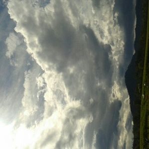 Meet your Posher, Joanne