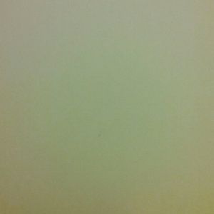 Meet your Posher, Lynn