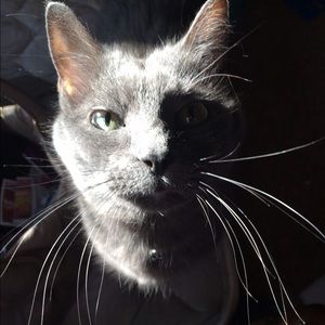 Meet your Posher, Kendra